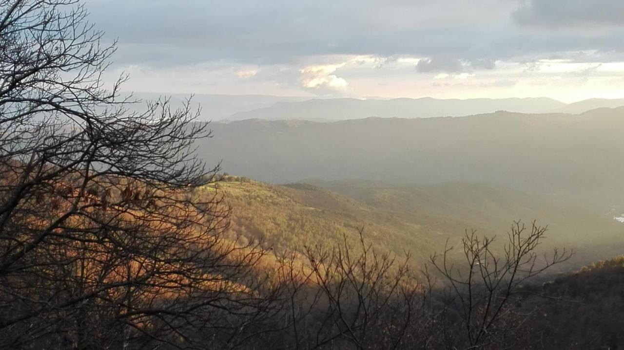 Gite Le Cerisier Via Rhona Dolce Via La Voulte-sur-Rhone エクステリア 写真